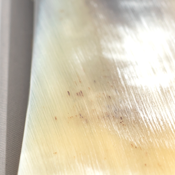 Open scheermes 5/8" carbon | Bergischer Löwe Buffelhoorn